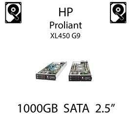 1000GB 2.5" dedykowany dysk serwerowy SATA do serwera HP ProLiant XL450 G9, HDD Enterprise 7.2k, 6Gbps - 656108-001