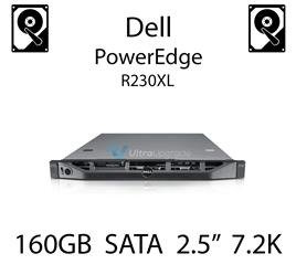 160GB 2.5" dedykowany dysk serwerowy SATA do serwera Dell PowerEdge R230XL, HDD Enterprise 7.2k, 3Gbps - K836N (REF)