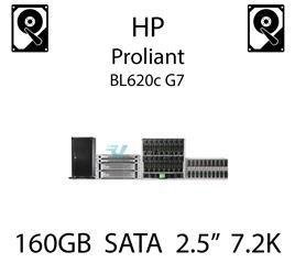 160GB 2.5" dedykowany dysk serwerowy SATA do serwera HP ProLiant BL620c G7, HDD Enterprise 7.2k, 3GB/s - 530932-001   (REF)