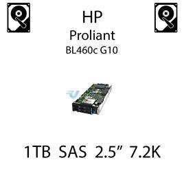 1TB 2.5" dedykowany dysk serwerowy SAS do serwera HP ProLiant BL460c G10, HDD Enterprise 7.2k, 12Gbps - 765464-B21