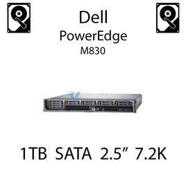 1TB 2.5" dedykowany dysk serwerowy SATA do serwera Dell PowerEdge M830, HDD Enterprise 7.2k - WF12F (REF)