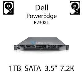 1TB 3.5" dedykowany dysk serwerowy SATA do serwera Dell PowerEdge R230XL, HDD Enterprise 7.2k, 6Gbps - 2T51W (REF)