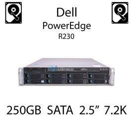 250GB 2.5" dedykowany dysk serwerowy SATA do serwera Dell PowerEdge R230, HDD Enterprise 7.2k, 320MB/s - P383F (REF)