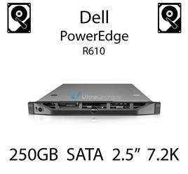 250GB 2.5" dedykowany dysk serwerowy SATA do serwera Dell PowerEdge R610, HDD Enterprise 7.2k, 320MB/s - P383F (REF)