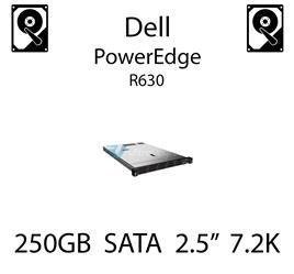 250GB 2.5" dedykowany dysk serwerowy SATA do serwera Dell PowerEdge R630, HDD Enterprise 7.2k, 6GB/s - HC79N (REF)