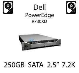 250GB 2.5" dedykowany dysk serwerowy SATA do serwera Dell PowerEdge R730XD, HDD Enterprise 7.2k, 6GB/s - HC79N (REF)