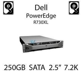 250GB 2.5" dedykowany dysk serwerowy SATA do serwera Dell PowerEdge R730XL, HDD Enterprise 7.2k, 320MB/s - P383F (REF)