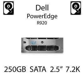 250GB 2.5" dedykowany dysk serwerowy SATA do serwera Dell PowerEdge R920, HDD Enterprise 7.2k, 320MB/s - P383F (REF)