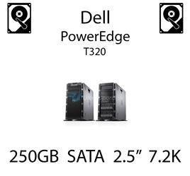 250GB 2.5" dedykowany dysk serwerowy SATA do serwera Dell PowerEdge T320, HDD Enterprise 7.2k, 6GB/s - HC79N (REF)