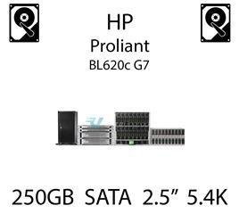 250GB 2.5" dedykowany dysk serwerowy SATA do serwera HP ProLiant BL620c G7, HDD Enterprise 5.4k, 3GB/s - 460355-B21   (REF)