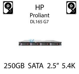 250GB 2.5" dedykowany dysk serwerowy SATA do serwera HP ProLiant DL165 G7, HDD Enterprise 5.4k, 3GB/s - 460426-001