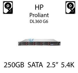 250GB 2.5" dedykowany dysk serwerowy SATA do serwera HP ProLiant DL360 G6, HDD Enterprise 5.4k, 3GB/s - 460426-001