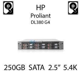 250GB 2.5" dedykowany dysk serwerowy SATA do serwera HP ProLiant DL380 G4, HDD Enterprise 5.4k, 3GB/s - 460426-001