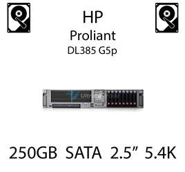 250GB 2.5" dedykowany dysk serwerowy SATA do serwera HP ProLiant DL385 G5p, HDD Enterprise 5.4k, 3GB/s - 460355-B21