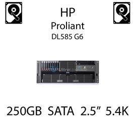 250GB 2.5" dedykowany dysk serwerowy SATA do serwera HP ProLiant DL585 G6, HDD Enterprise 5.4k, 3GB/s - 460426-001   (REF)