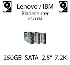 250GB 2.5" dedykowany dysk serwerowy SATA do serwera Lenovo / IBM Bladecenter HS21XM, HDD Enterprise 7.2k, 600MB/s - 81Y9722