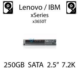 250GB 2.5" dedykowany dysk serwerowy SATA do serwera Lenovo / IBM Bladecenter T, HDD Enterprise 7.2k, 600MB/s - 81Y9722