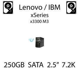 250GB 2.5" dedykowany dysk serwerowy SATA do serwera Lenovo / IBM System x3300 M3, HDD Enterprise 7.2k, 600MB/s - 81Y9722