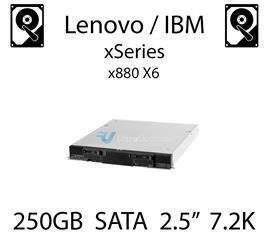 250GB 2.5" dedykowany dysk serwerowy SATA do serwera Lenovo / IBM xSeries x880 X6, HDD Enterprise 7.2k, 600MB/s - 00AJ131