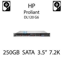 250GB 3.5" dedykowany dysk do serwera HP Proliant DL120 G6, HDD Enterprise 7.2k, 1.5GB/s - 411276-B21 (REF)