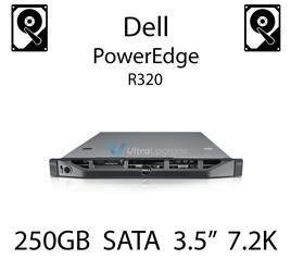 250GB 3.5" dedykowany dysk serwerowy SATA do serwera Dell PowerEdge R320, HDD Enterprise 7.2k, 320MB/s - TM727 (REF)