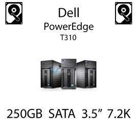 250GB 3.5" dedykowany dysk serwerowy SATA do serwera Dell PowerEdge T310, HDD Enterprise 7.2k, 320MB/s - TM727 (REF)