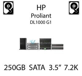 250GB 3.5" dedykowany dysk serwerowy SATA do serwera HP ProLiant DL1000 G1, HDD Enterprise 7.2k, 150MB/s - 397553-001