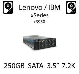 250GB 3.5" dedykowany dysk serwerowy SATA do serwera Lenovo / IBM System x3950, HDD Enterprise 7.2k, 300MB/s - 39M4526