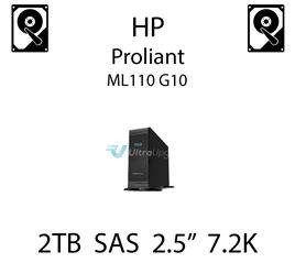 2TB 2.5" dedykowany dysk serwerowy SAS do serwera HP ProLiant ML110 G10, HDD Enterprise 7.2k, 12Gbps - 765873-001