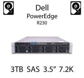 3TB 3.5" dedykowany dysk serwerowy SAS do serwera Dell PowerEdge R230, HDD Enterprise 7.2k, 6Gbps - 091K8T (REF)