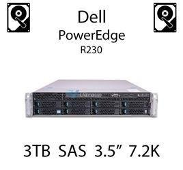 3TB 3.5" dedykowany dysk serwerowy SAS do serwera Dell PowerEdge R230, HDD Enterprise 7.2k, 6Gbps - 698PM (REF)