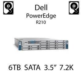 6TB 3.5" dedykowany dysk serwerowy SATA do serwera Dell PowerEdge R210, HDD Enterprise 7.2k, 6Gbps - P00JM (REF)