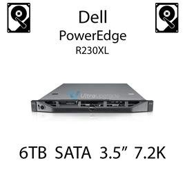 6TB 3.5" dedykowany dysk serwerowy SATA do serwera Dell PowerEdge R230XL, HDD Enterprise 7.2k, 6Gbps - P00JM (REF)