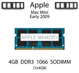 Pamięć RAM 4GB DDR3 dedykowana do komputera Apple Mac Mini Early 2009